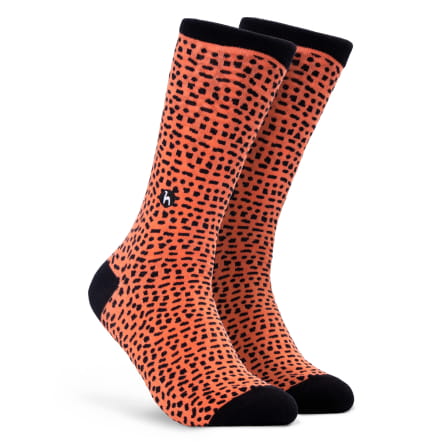 Shells Coral  Socks