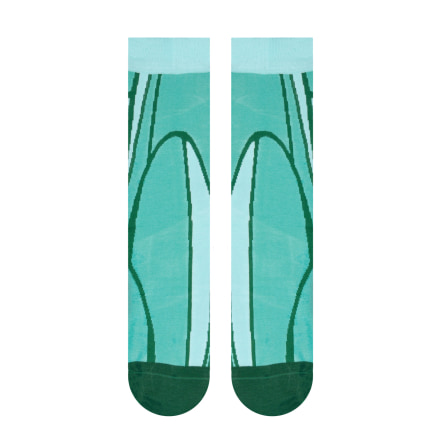 Cactus Socks - DESERT Collection - WWF® (2)