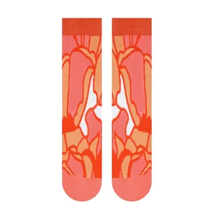 Crystal Socks - DESERT Collection - WWF® (2)