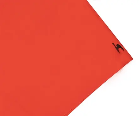 SLB Boardshorts Benfica (2)