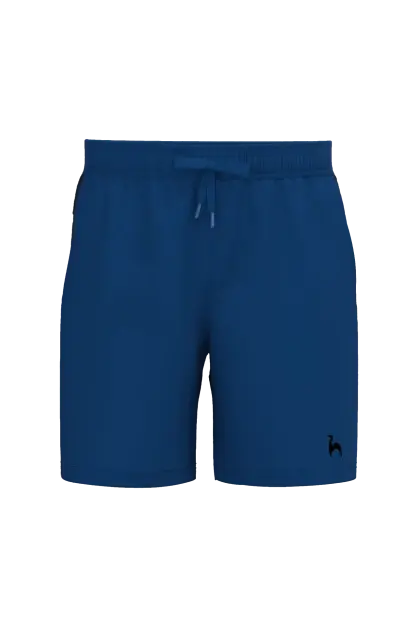 Blue Sports Shorts